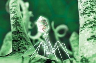 Ростех разработал первый в мире универсальный бактериофаг для борьбы с инфекциями